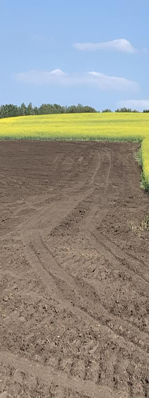 Lease construction and reclamation